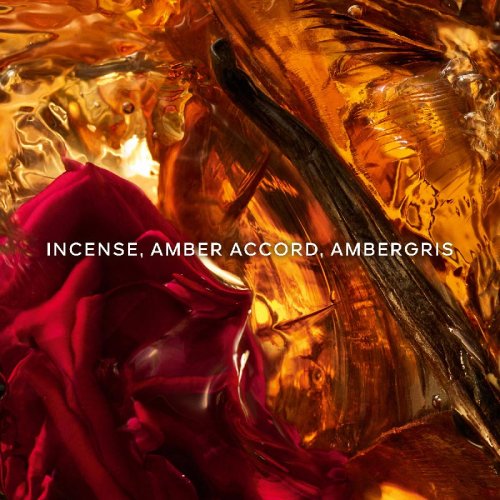 Absolus Allegoria Ambre Samar - Eau de Parfum GUERLAIN Absolus Allegoria Ambre Samar - Eau de Parfum GUERLAIN